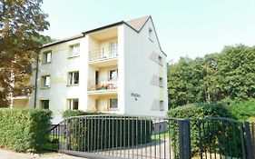 Ivihouse